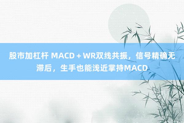 股市加杠杆 MACD＋WR双线共振，信号精确无滞后，生手也能浅近掌持MACD